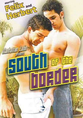 movie poster for South Of The Border