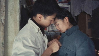 Still 2 from Comrades, Almost a Love Story