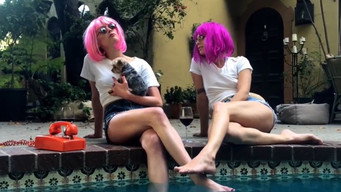 Mondo Hollywoodland (2019)