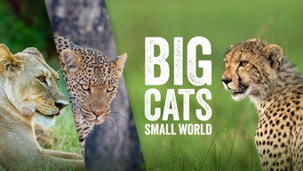 Big Cats, Small World (2024)