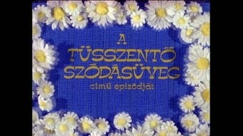 Episodio 10 — Episodio 10