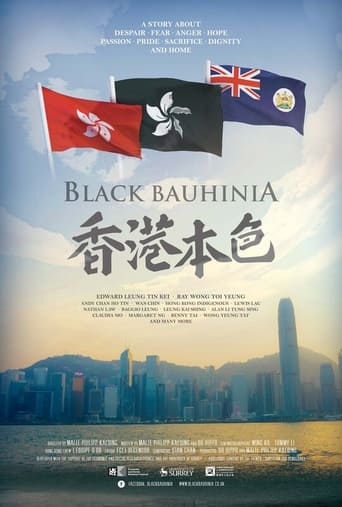Poster of 香港本色