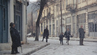 #29 Пейзаж у тумані