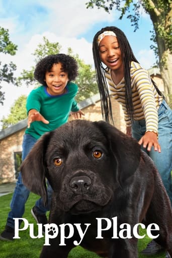 Poster of Cachorritos: Buscando un hogar