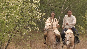 A Pearl in the Forest (2008)