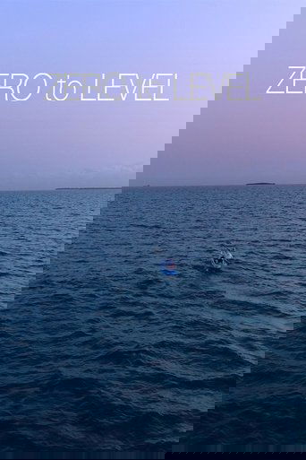 Zero to Level (2024)