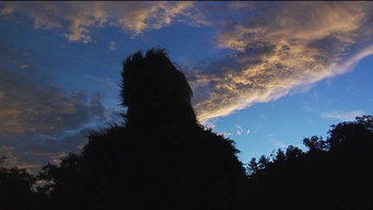 The Bigfoot Diaries (2009)