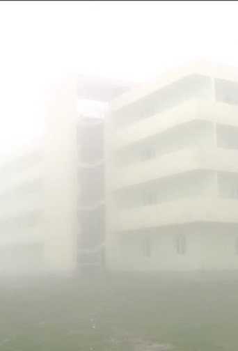 All Day Strolling (2011)