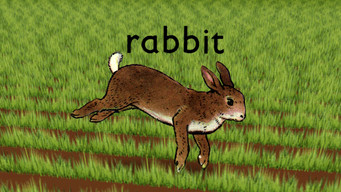 #3 Rabbit