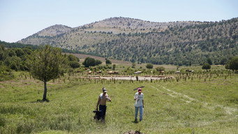 #20 Sad Hill Unearthed
