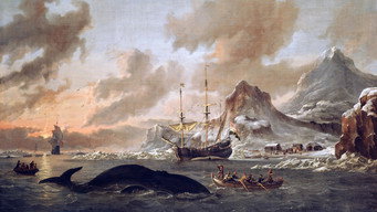 #5 Moby Dick