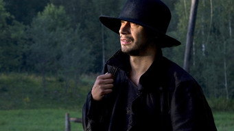 The Visitor (2008)