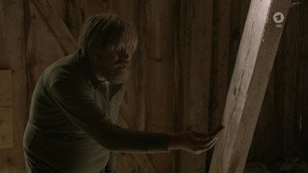 The Procedure (2015)