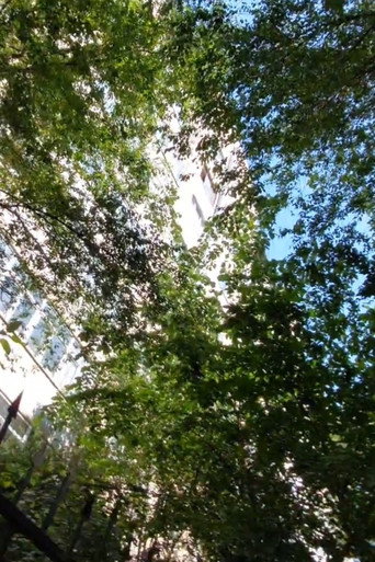 Taugul galeri 4