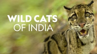 Wild Cats of India (2020)