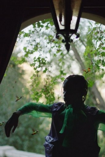 Rare: The Boy Who Cried Swag poster