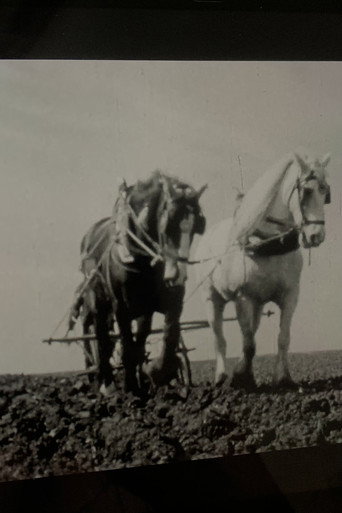 In the Garden of England (1938)