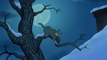 #14 Felidae