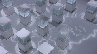 Guerra de cucharas blancas contra negras