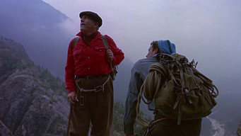 #10 The Mountain
