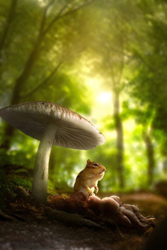 Tiny World poster 9