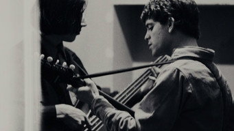 #11 The Velvet Underground