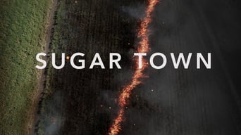 #2 Sugar Town