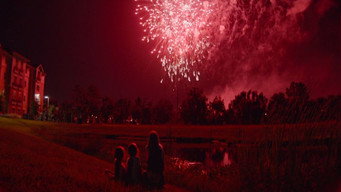 #44 Проєкт «Флорида»