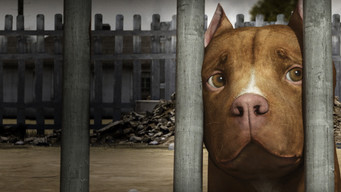 Chance media image