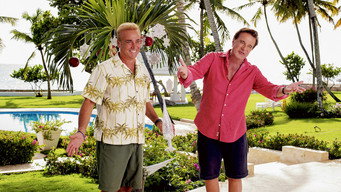 Vacanze ai Caraibi (2015)