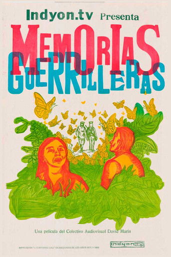 Guerrilla Memories poster