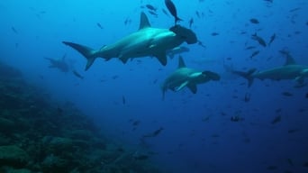 The Wild Pacific: The Beauty Of Life (2016)