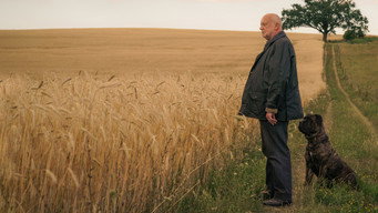 Unterleuten: The Torn Village (2019-2020)