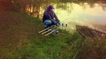 #4 King Fishers