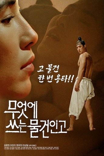 Poster of 무엇에 쓰는 물건인고