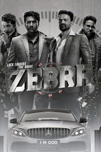 Zebra — Posters 15