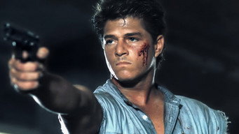 Stickfighter media image