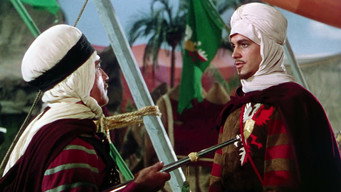 #6 The Desert Hawk