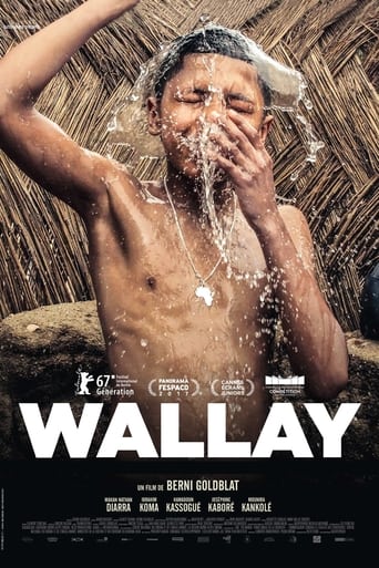 Poster of Wallay
