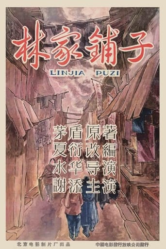 Poster of 林家鋪子