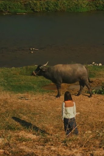 Treasure By The River poster