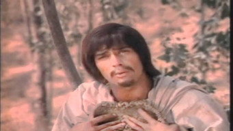 Our Lady of Guadalupe (1976)