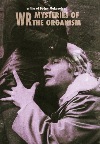 Póster del título