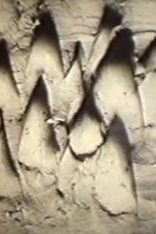 Plástika-Cromátika poster