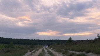 #84 Чорна вдова