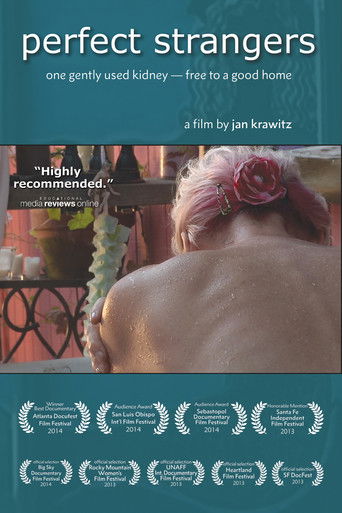 Perfect Strangers (2013)