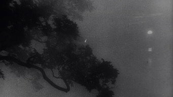 #6 Bezhin Meadow: Sequences from an Unfinished Film