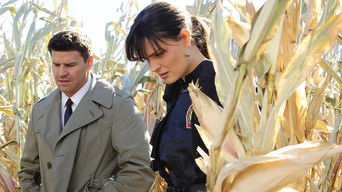 Cena de The Sin in the Sisterhood