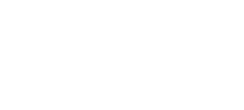 Bull Shark vs. Hammerhead logo