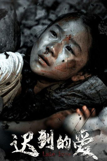 迟到的爱 poster